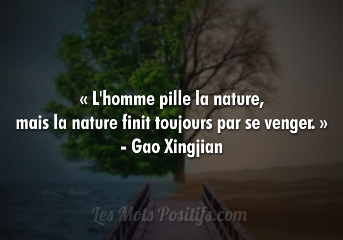 Le Respect De Notre Environnement Les Mots Positifs Com