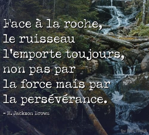 Citation Sur Remise En Forme Citation Sur La Vie Les Mots Positifs Com