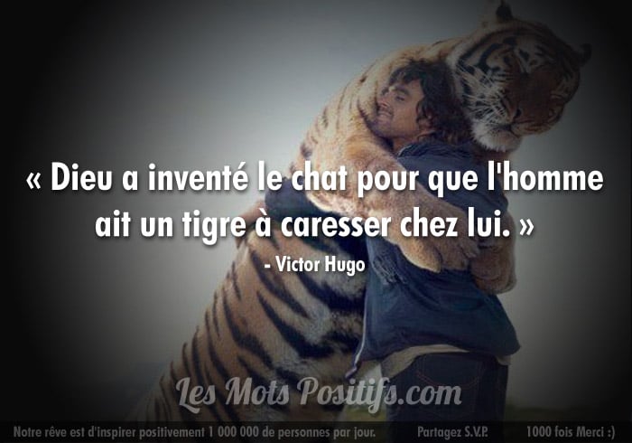 Citation Vous aimez les chats ?