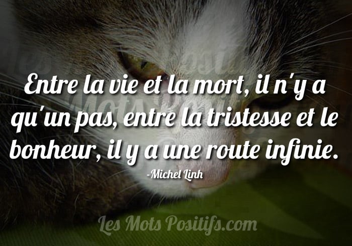 Le chemin de la tristesse vers le bonheur