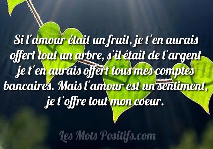 Citation L’amour