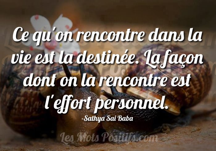 Citation La rencontre