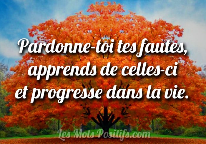 Citation Pardonne-toi