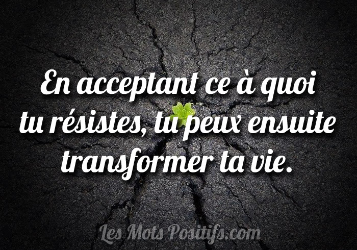 Citation Transformer sa vie