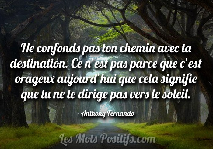 Citation Ne confonds pas ton chemin avec ta destination.