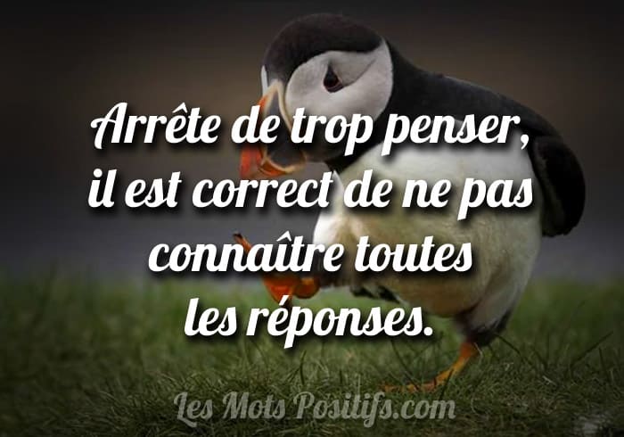 Arretez De Trop Penser Citations Et Pensees Positives Les Mots Positifs Com