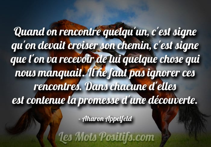 Il Ne Faut Pas Ignorer Ces Rencontres Citations Et Pensees Positives Les Mots Positifs Com