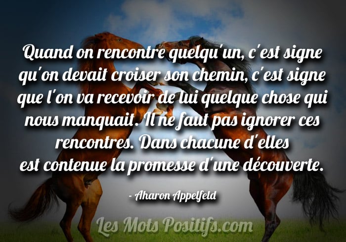 Citation Il ne faut pas ignorer ces rencontres