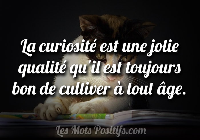 Citation La curiosité