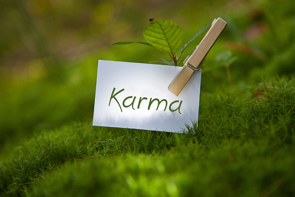 Les 12 Lois Du Karma Qui Changeront Votre Vie Les Mots Positifs Com