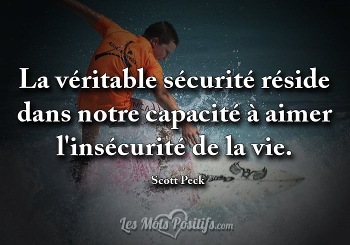 Citation L’insécurité de la vie