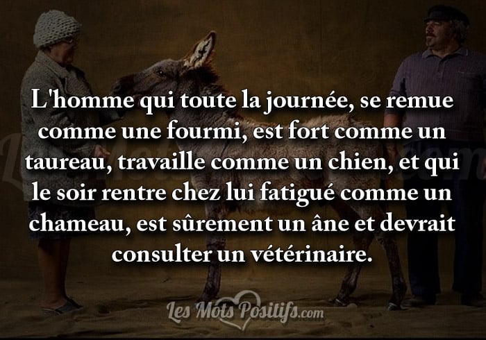 Surmene Citations Et Pensees Positives Les Mots Positifs Com