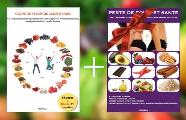 E-book : Guide de synergie alimentaire