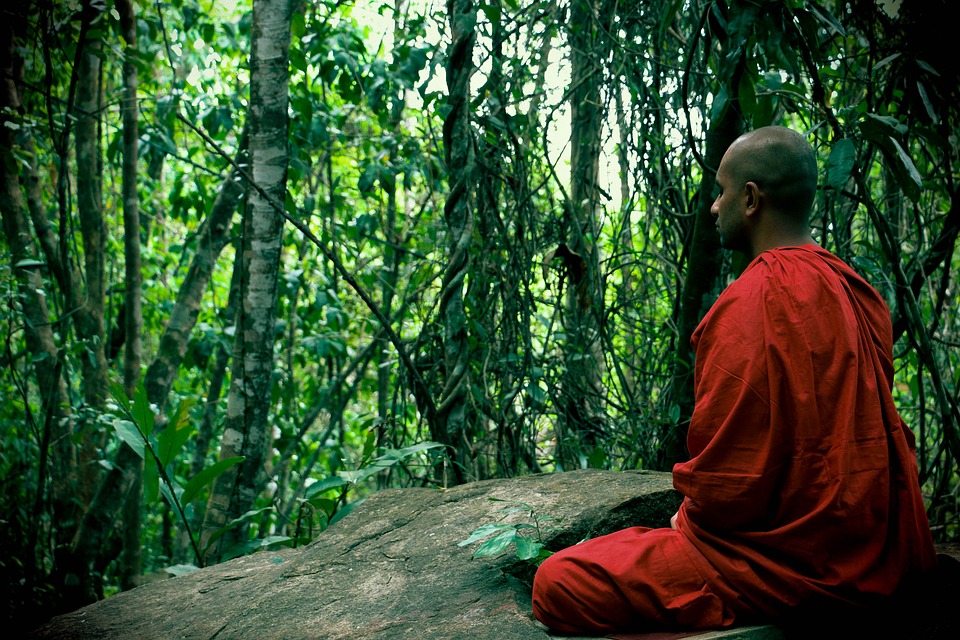 Citation Vivre le moment présent grâce à la pleine conscience