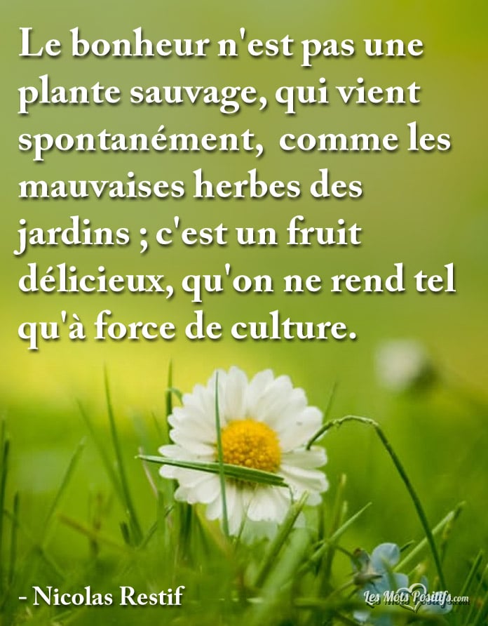 Citation Le bonheur n’est pas une plante sauvage