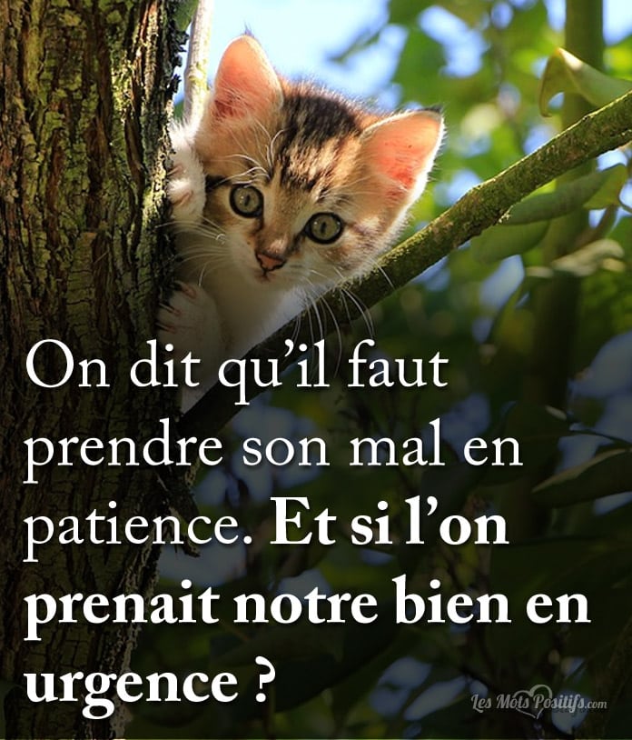 Citation Notre bien en urgence