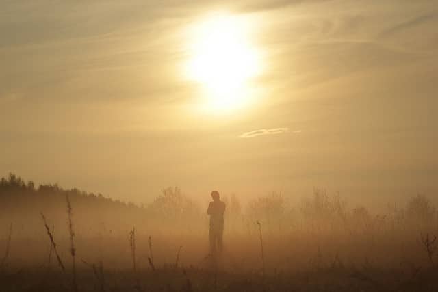 Citation Mon beau brouillard