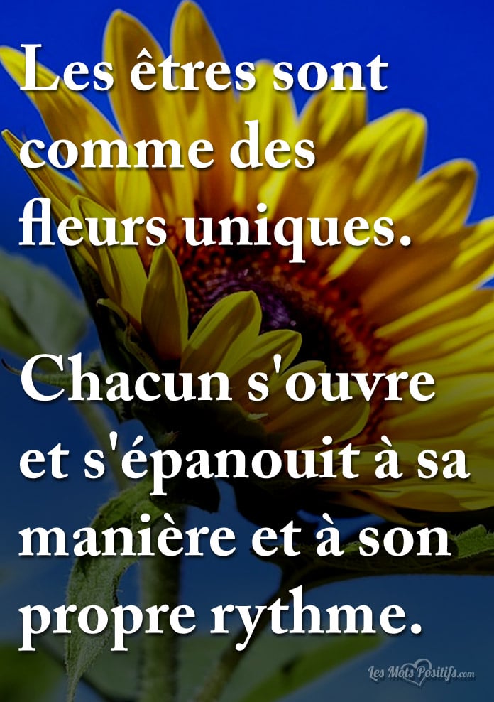 Citation Les êtres sont comme des fleurs uniques