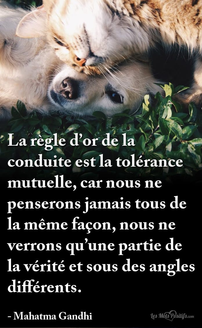 Citation La règle d’or de la conduite