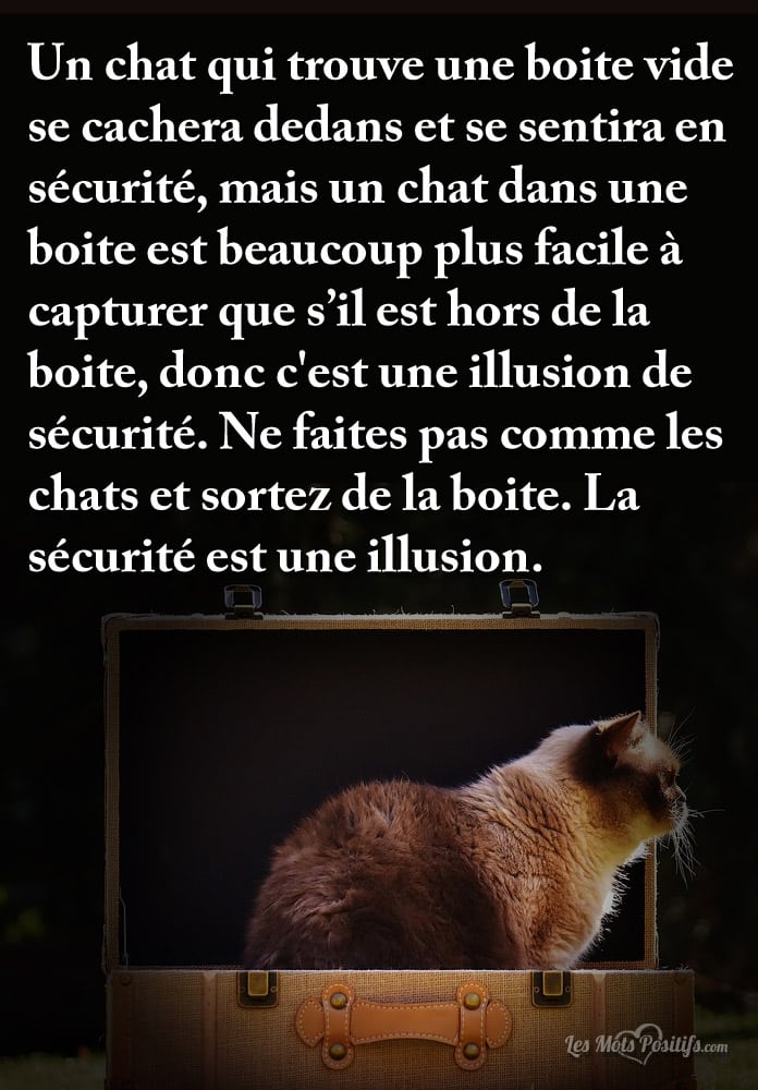 Illusion De Securite Citations Et Pensees Positives Les Mots Positifs Com