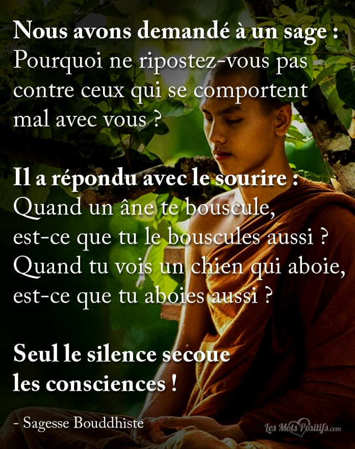 Citation Seul le silence secoue  les consciences !