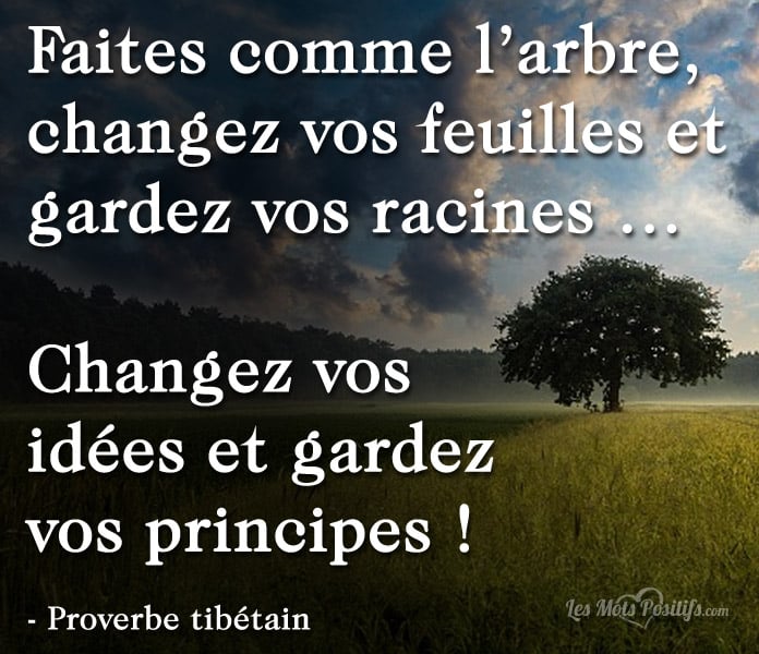 Faites comme l’arbre