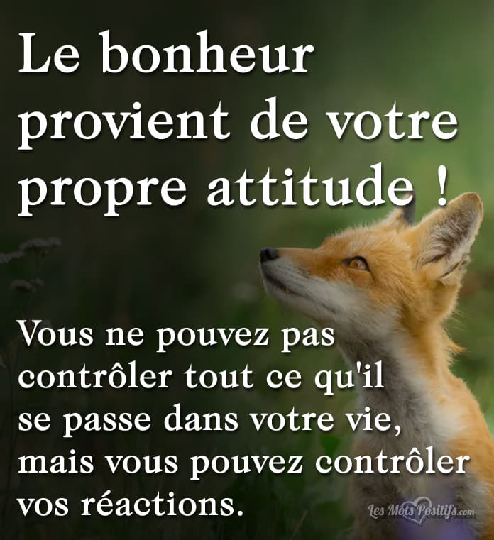 Citation Le bonheur provient de votre propre attitude !