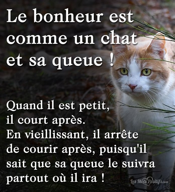 Le bonheur est comme un chat et sa queue !