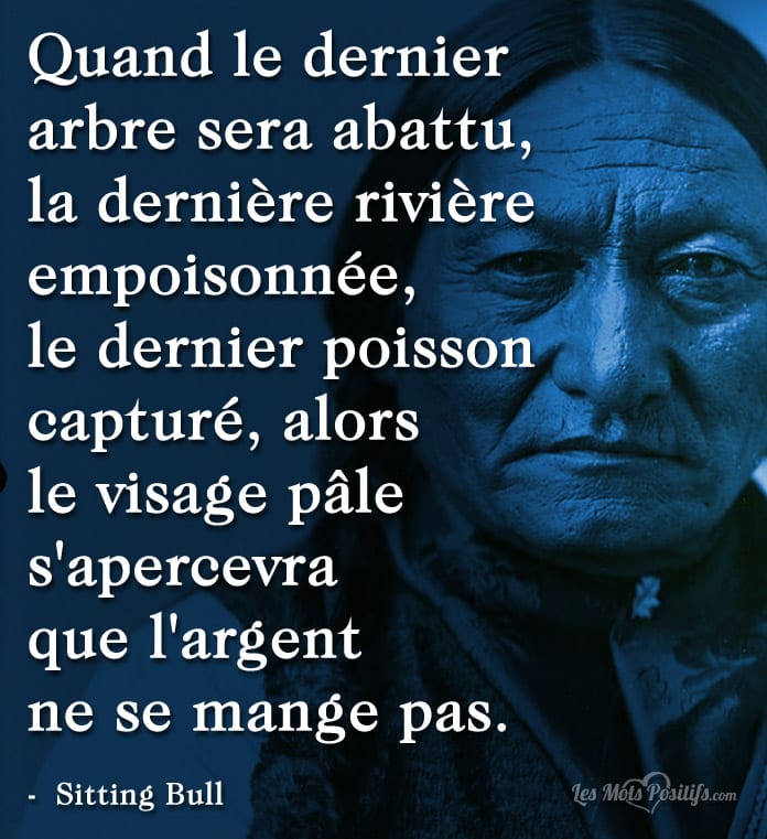 Citation Quand le dernier arbre sera abattu …