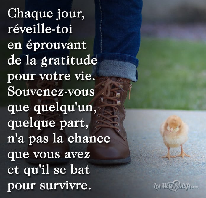 Chaque jour,  réveille-toi en éprouvant de la gratitude