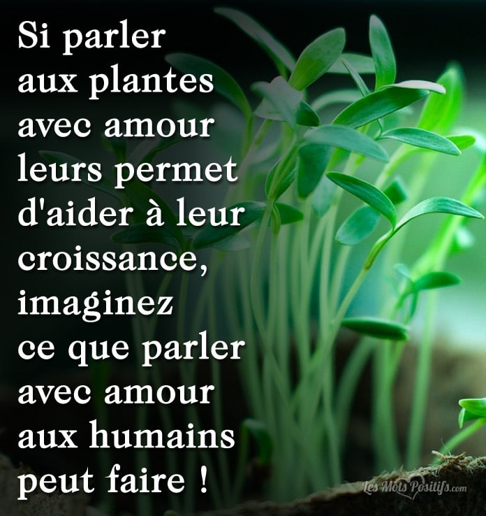 Imaginez ce que parler avec amour aux humains peut faire !