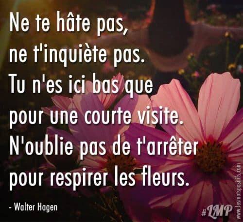 Citation sur Fleur | Citation sur la vie | Les Mots Positifs.com