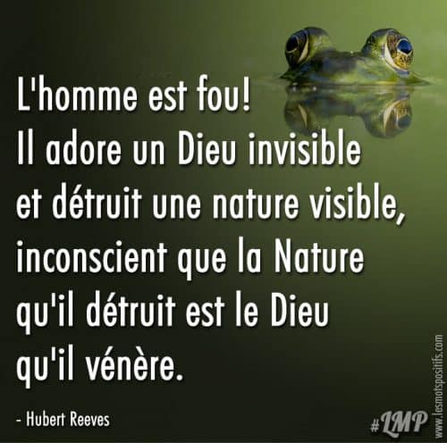 Nature Nature Citations Positives Sur La Vie