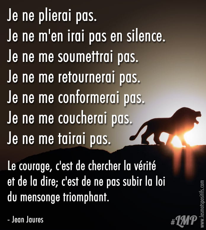 Citation Le courage, c’est de chercher la vérité et de la dire