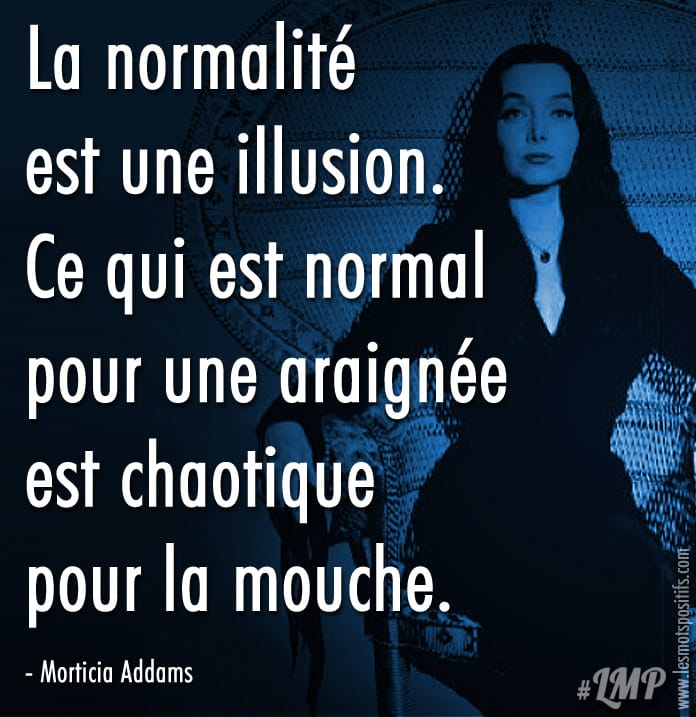 La Normalite Est Une Illusion Citations Et Pensees Positives Les Mots Positifs Com