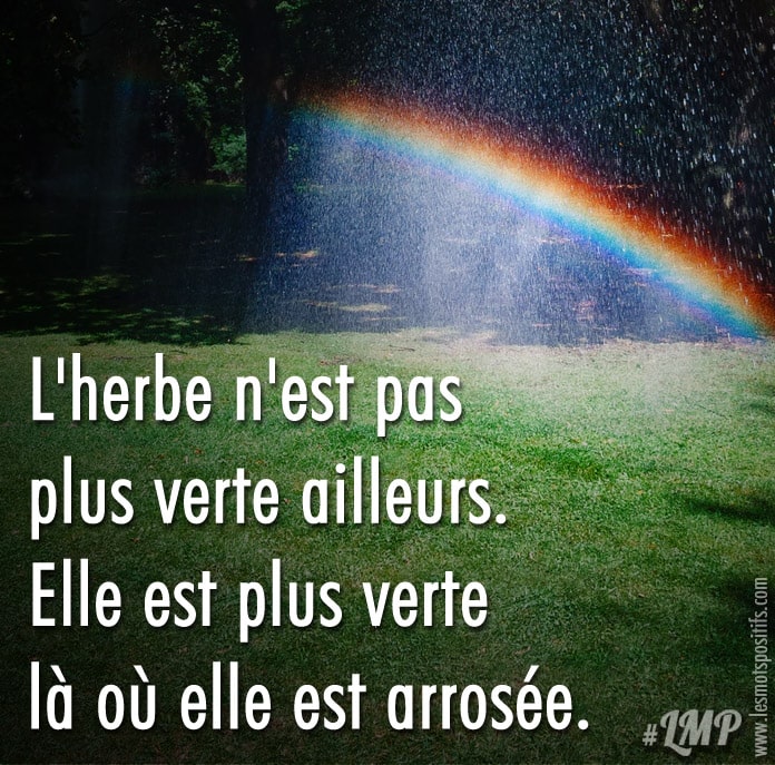 L’herbe n’est pas plus verte ailleurs