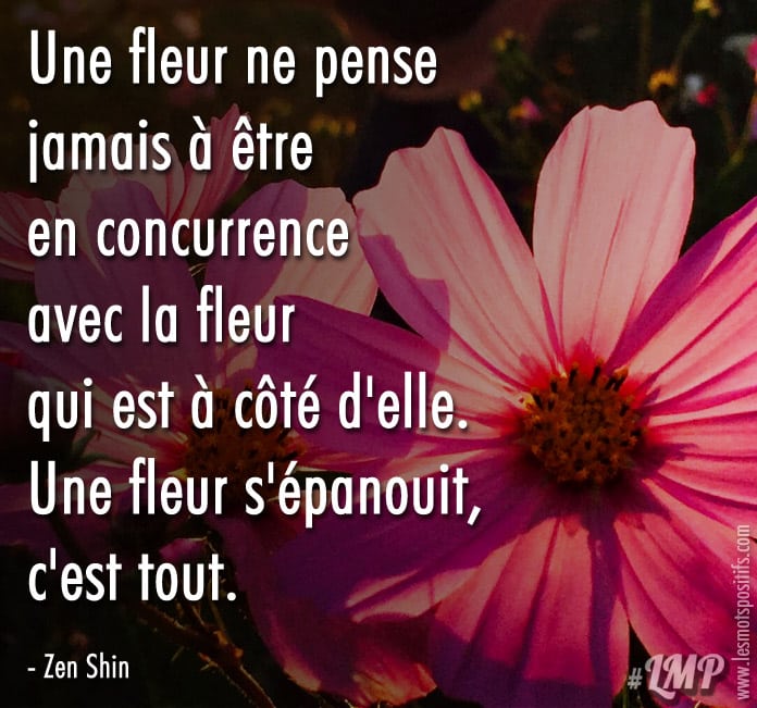 Une fleur s’épanouit, c’est tout !