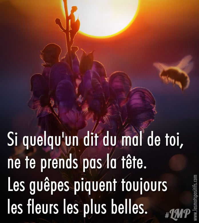 Citation Si quelqu’un dit du mal de toi