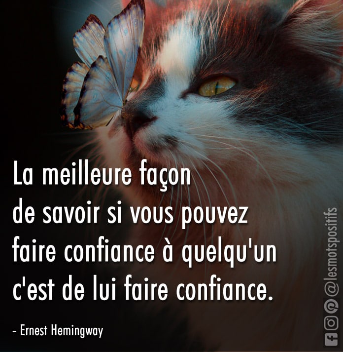 Citation Comment savoir si je peux faire confiance à une personne ?