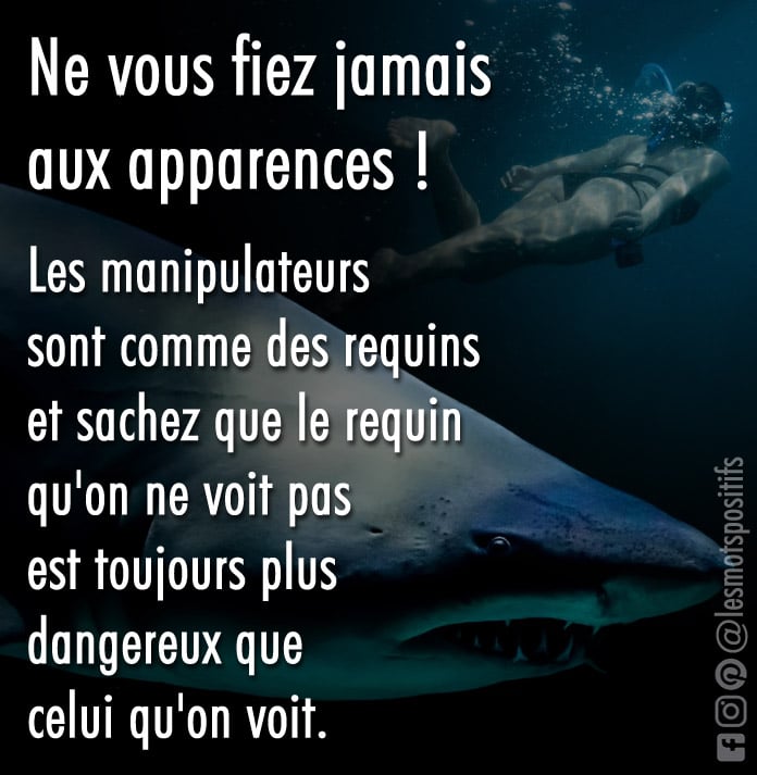 Nager avec les pires requins du monde (Métaphore sur les personnes manipulatrices)