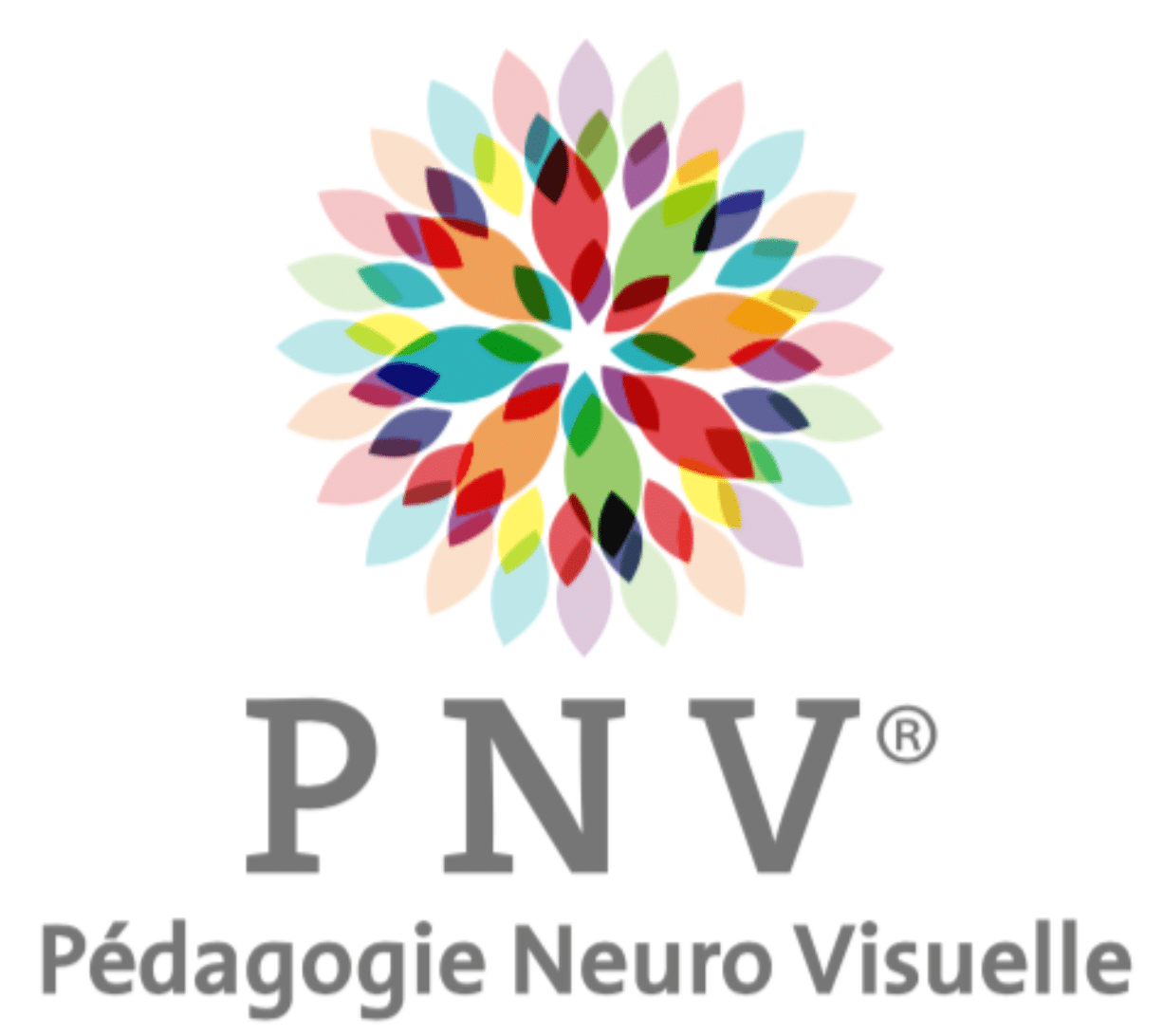 Pedagogie Neuro-Visuelle