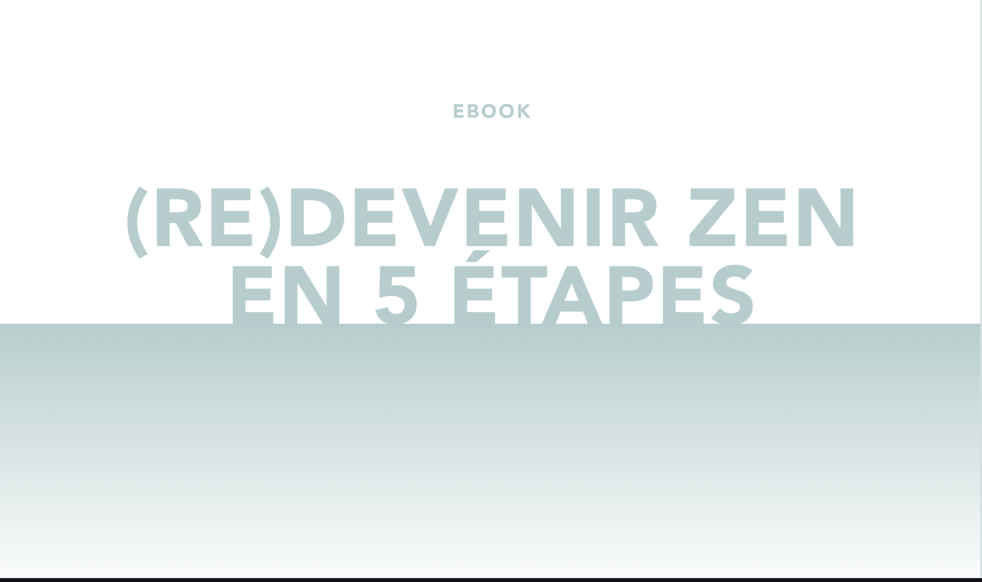 Ebook gratuit – (Re) Devenir Zen en 5 étapes