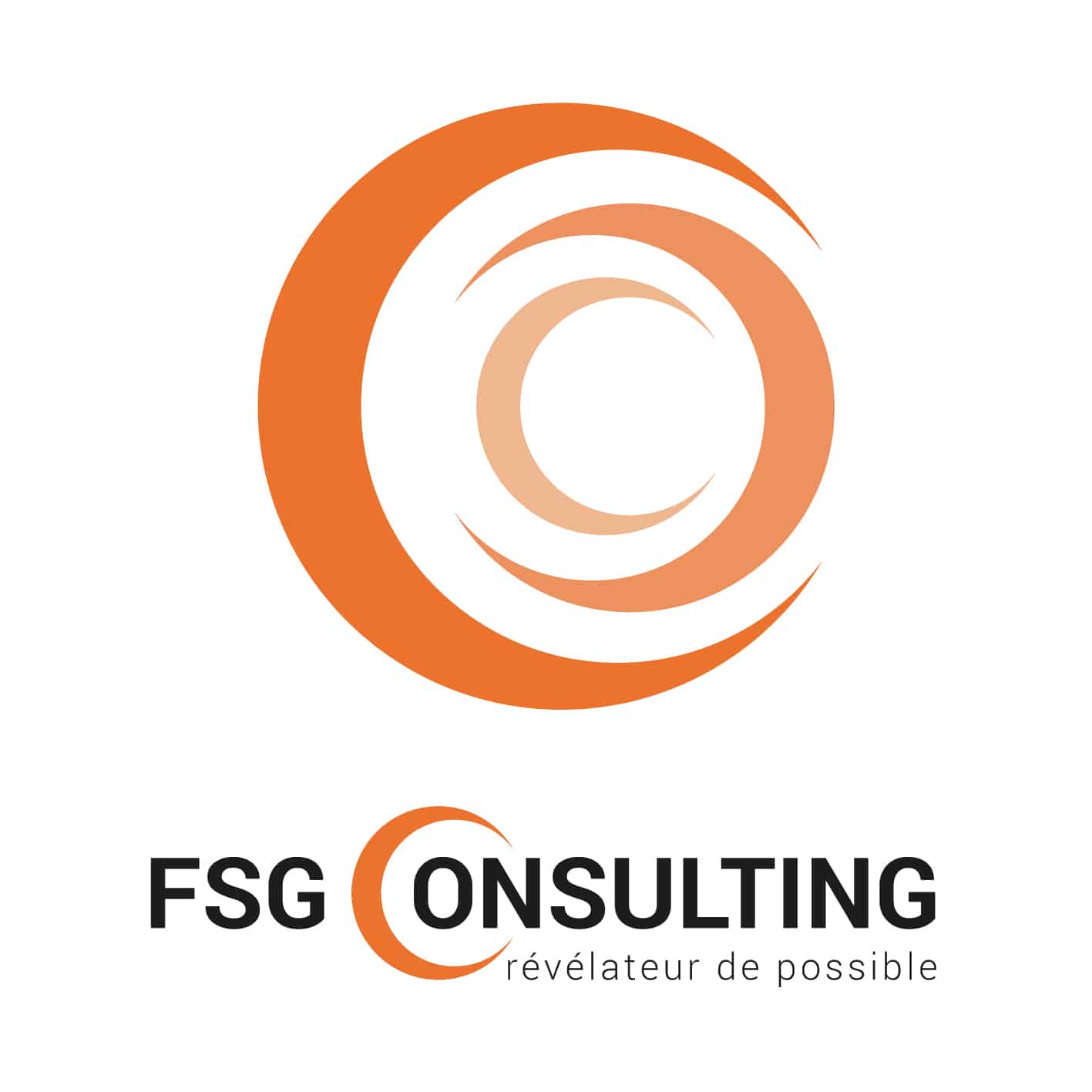 FDG consulting