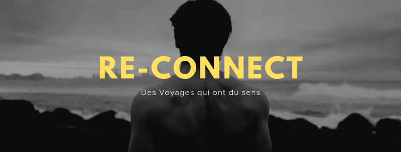 Reconnect Voyages