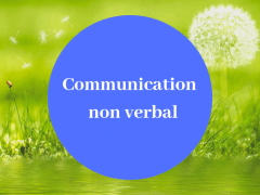 Comment mieux communiquer avec les autres ?