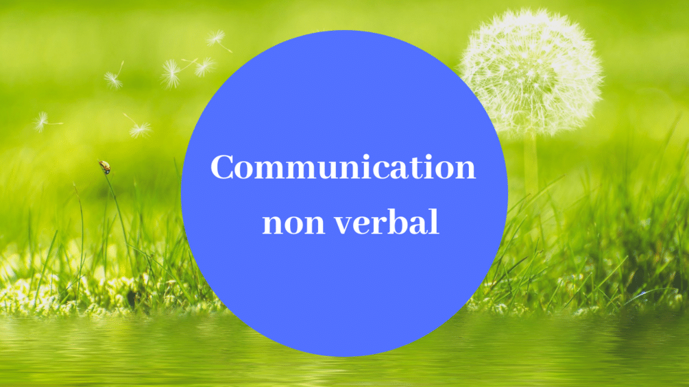 Communication_20non_20verbal