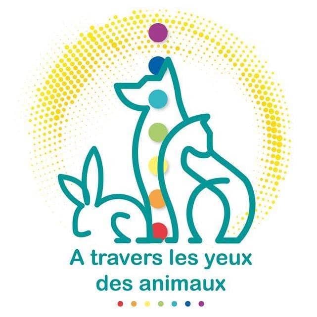 A travers le yeux des animaux