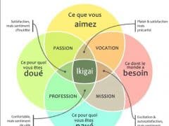 À la lumière de vos talents, découvrez votre voie professionnelle idéale