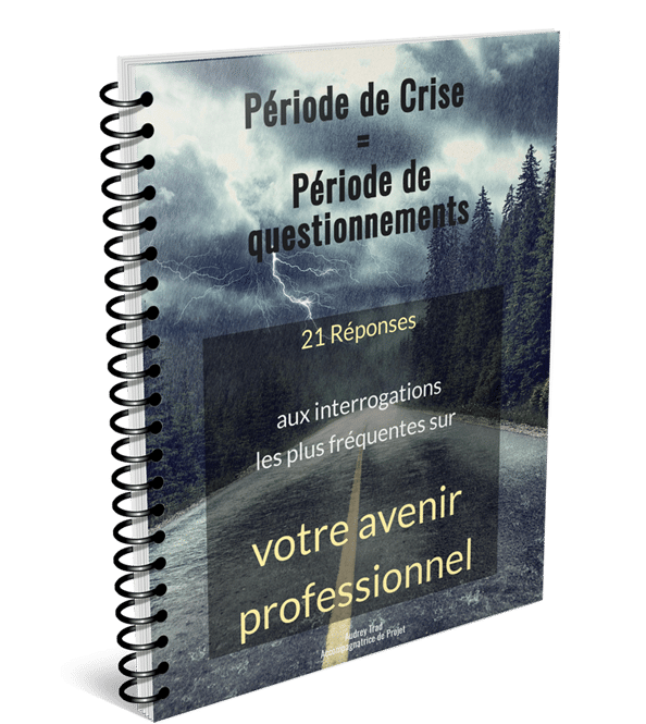 Ebook – Votre avenir professionnel