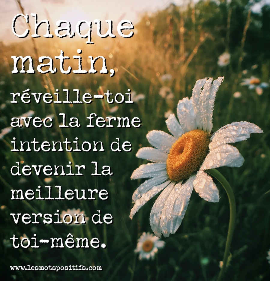 Citation 11 citations sur l’importance de prendre de bonnes habitudes matinales